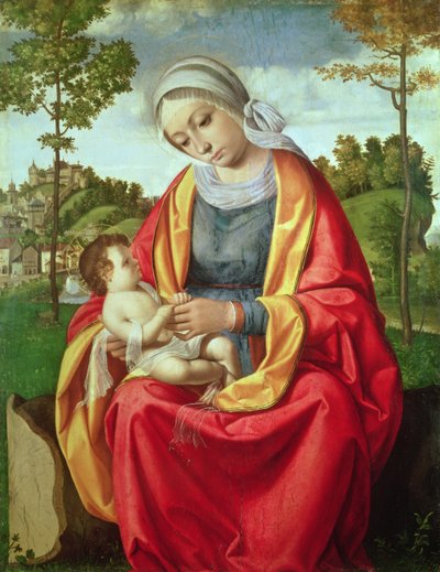 La Vergine e il Bambino da Andrea Previtali